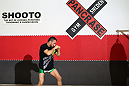 STOCKHOLM, SWEDEN - APRIL 11:  Reza Madadi works out for the media during the UFC open workouts at Pancrase Gym on April 11, 2012 in Stockholm, Sweden.  (Photo by Josh Hedges/Zuffa LLC/Zuffa LLC via Getty Images)