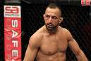 STOCKHOLM, SWEDEN - APRIL 14:  Reza Madadi of Sweden stands in the Octagon before his bout against Yoislandy Izquierdo at the UFC on Fuel TV event at Ericsson Globe on April 14, 2012 in Stockholm, Sweden.  (Photo by Josh Hedges/Zuffa LLC/Zuffa LLC via Getty Images)