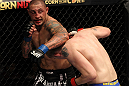 STOCKHOLM, SWEDEN - APRIL 14:  (L-R) Thiago Silva punches Alexander Gustafsson during their light heavyweight bout at the UFC on Fuel TV event at Ericsson Globe on April 14, 2012 in Stockholm, Sweden.  (Photo by Josh Hedges/Zuffa LLC/Zuffa LLC via Getty Images)