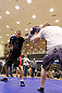 ATLANTA, GA - APRIL 19:  Michael McDonald works out for the media during UFC 145 open workouts at GSU Sports Arena on April 19, 2012 in Atlanta, Georgia.  (Photo by Kevin C. Cox/Zuffa LLC/Zuffa LLC via Getty Images)