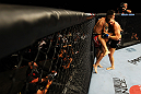ATLANTA, GA - APRIL 21:  Matt Brown (L) grapples with Stephen Thompson during their welterweight bout for UFC 145 at Philips Arena on April 21, 2012 in Atlanta, Georgia.  (Photo by Al Bello/Zuffa LLC/Zuffa LLC via Getty Images)