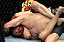 EAST RUTHERFORD, NJ - MAY 05:  Roland Delorme chokes out Nick Denis during thier Bantamweight bout at Izod Center on May 5, 2012 in East Rutherford, New Jersey.  (Photo by Josh Hedges/Zuffa LLC/Zuffa LLC via Getty Images)