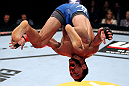 EAST RUTHERFORD, NJ - MAY 05:  Dennis Bermudez celebrates after defeating Pablo Garza in thier Bantamweight bout at Izod Center on May 5, 2012 in East Rutherford, New Jersey.  (Photo by Josh Hedges/Zuffa LLC/Zuffa LLC via Getty Images)