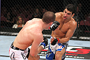 EAST RUTHERFORD, NJ - MAY 05:  Danny Castillo (R) and John Cholish (L) fights during thier Lightweight bout at Izod Center on May 5, 2012 in East Rutherford, New Jersey.  (Photo by Josh Hedges/Zuffa LLC/Zuffa LLC via Getty Images)