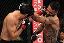 FAIRFAX, VA - MAY 15:  (L-R) Alex Soto and Francisco Rivera trade punches in a bantamweight bout during the UFC on Fuel TV event at Patriot Center on May 15, 2012 in Fairfax, Virginia.  (Photo by Josh Hedges/Zuffa LLC/Zuffa LLC via Getty Images)