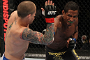 FAIRFAX, VA - MAY 15:  (R-L) Johnny Eduardo punches Jeff Curran in a bantamweight bout during the UFC on Fuel TV event at Patriot Center on May 15, 2012 in Fairfax, Virginia.  (Photo by Josh Hedges/Zuffa LLC/Zuffa LLC via Getty Images)