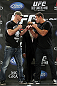LAS VEGAS, NV - MAY 24:   (L-R) Opponents Stipe Miocic and Shane Del Rosario face off during the UFC 146 press conference at MGM Grand on May 24, 2012 in Las Vegas, Nevada.  (Photo by Josh Hedges/Zuffa LLC/Zuffa LLC via Getty Images)