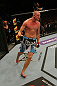 LAS VEGAS, NV - MAY 26:  Stefan Struve reacts to his submission win over Lavar Johnson during a heavyweight bout at UFC 146 at MGM Grand Garden Arena on May 26, 2012 in Las Vegas, Nevada.  (Photo by Donald Miralle/Zuffa LLC/Zuffa LLC via Getty Images)