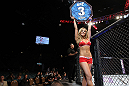 LAS VEGAS, NV - MAY 26:  UFC Octagon Girl Brittney Palmer introduces round three during a featherweight bout at UFC 146 at MGM Grand Garden Arena on May 26, 2012 in Las Vegas, Nevada.  (Photo by Josh Hedges/Zuffa LLC/Zuffa LLC via Getty Images)