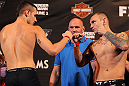 LAS VEGAS, NV - MAY 31:   (L-R) Opponents Myles Jury and Sam Sicilia face off after making weight during The Ultimate Fighter Live weigh in at the Palms Casino Resort on May 31, 2012 in Las Vegas, Nevada.  (Photo by Josh Hedges/Zuffa LLC/Zuffa LLC via Getty Images)  *** Local Caption *** Myles Jury; Sam Sicilia