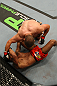 SUNRISE, FL - JUNE 08:   (R-L) Mike Pierce punches Carlos Eduardo Rocha in a Welterweight bout during the UFC on FX 3 event at Bank Atlantic Center on June 8, 2012 in Sunrise, Florida.  (Photo by Josh Hedges/Zuffa LLC/Zuffa LLC via Getty Images)