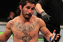 SUNRISE, FL - JUNE 08:   Ian McCall reacts after delivering an accidental low blow against Demetrious Johnson in a Flyweight bout during the UFC on FX 3 event at Bank Atlantic Center on June 8, 2012 in Sunrise, Florida.  (Photo by Josh Hedges/Zuffa LLC/Zuffa LLC via Getty Images)