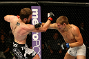 ATLANTIC CITY, NJ - JUNE 22:  Dan Miller (L) and Ricardo Funch (R) exchange punches in a welterweight bout during UFC on FX 4 at Revel Casino on June 22, 2012 in Atlantic City, New Jersey.  (Photo by Nick Laham/Zuffa LLC/Zuffa LLC)