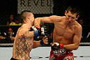 ATLANTIC CITY, NJ - JUNE 22: Steven Siler (R) throws an elbow to the face of Joe Gambino (L) in a featherweight bout during UFC on FX 4 at Revel Casino on June 22, 2012 in Atlantic City, New Jersey.  (Photo by Nick Laham/Zuffa LLC/Zuffa LLC)