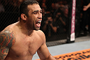 BELO HORIZONTE, BRAZIL - JUNE 23:   Fabricio Werdum reacts after defeating Mike Russow during their UFC 147 heavyweight bout at Estadio Jornalista Felipe Drummond on June 23, 2012 in Belo Horizonte, Brazil.  (Photo by Josh Hedges/Zuffa LLC/Zuffa LLC via Getty Images)