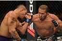 LAS VEGAS, NV - JULY 7:   Ivan Menjivar (right) punches Mike Easton during their bantamweight bout at UFC 148 inside MGM Grand Garden Arena on July 7, 2012 in Las Vegas, Nevada.  (Photo by Donald Miralle/Zuffa LLC/Zuffa LLC via Getty Images)  *** Local Caption *** Ivan Menjivar; Mike Easton