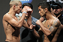 SAN JOSE, CA - JULY 10:   (L-R) Opponents T.J. Dillashaw and Vaughn Lee face off during the UFC on Fuel TV weigh in at HP Pavilion on July 10, 2012 in San Jose, California.  (Photo by Josh Hedges/Zuffa LLC/Zuffa LLC via Getty Images)