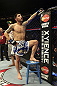 CALGARY, CANADA - JULY 21: Daniel Pineda looks to the crowd after being knocked out by Antonio Carvalho during their featherweight bout at UFC 149 inside the Scotiabank Saddledome on July 21, 2012 in Calgary, Alberta, Canada.  (Photo by Nick Laham/Zuffa LLC/Zuffa LLC via Getty Images)