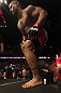 CALGARY, CANADA - JULY 21:  Hector Lombard enters the Octagon prior to facing Tim Boetsch during their middleweight bout at UFC 149 inside the Scotiabank Saddledome on July 21, 2012 in Calgary, Alberta, Canada.  (Photo by Nick Laham/Zuffa LLC/Zuffa LLC via Getty Images)