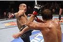CALGARY, CANADA - JULY 21: (L-R) Renan Barao attempts a kick at Urijah Faber during their UFC interim bantamweight championship bout at UFC 149 inside the Scotiabank Saddledome on July 21, 2012 in Calgary, Alberta, Canada.  (Photo by Nick Laham/Zuffa LLC/Zuffa LLC via Getty Images)