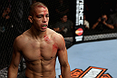 LOS ANGELES, CA - AUGUST 04:  John Moraga reacts after knocking out Ulysses Gomez in the first round during the UFC on FOX event at Staples Center on August 4, 2012 in Los Angeles, California.  (Photo by Josh Hedges/Zuffa LLC via Getty Images)