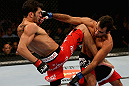 LOS ANGELES, CA - AUGUST 04:  Josh Grispi throws a knee into Rani Yahya in the first round of their featherweight bout during the UFC on FOX event at Staples Center on August 4, 2012 in Los Angeles, California.  (Photo by Josh Hedges/Zuffa LLC via Getty Images)