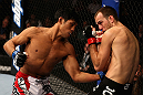 LOS ANGELES, CA - AUGUST 04:  Nam Phan (L) lands a punch on Cole Miller in their featherweight bout during UFC on FOX at Staples Center on August 4, 2012 in Los Angeles, California.  (Photo by Josh Hedges/Zuffa LLC via Getty Images)