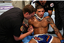 LOS ANGELES, CA - AUGUST 04:  Damarques Johnson is checked out by medical staff after being knocked out in the second round by Mike Swick (not pictured) during the UFC on FOX at Staples Center on August 4, 2012 in Los Angeles, California.  (Photo by Josh Hedges/Zuffa LLC via Getty Images)