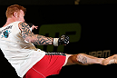 DENVER, CO - AUGUST 08:  Ed Herman works out for the media during the UFC 150 open workouts at the Muscle Pharm Sports Science Center on August 8, 2012 in Denver, Colorado. (Photo by Josh Hedges/Zuffa LLC/Zuffa LLC via Getty Images)