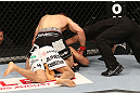 DENVER, CO - AUGUST 11:  Nik Lentz (black shorts) punches down at Eiji Mitsuoka during their featherweight bout at UFC 150 inside Pepsi Center on August 11, 2012 in Denver, Colorado. (Photo by Nick Laham/Zuffa LLC/Zuffa LLC via Getty Images)