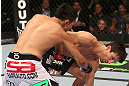 DENVER, CO - AUGUST 11:  (L-R) Erik Perez knocks down Ken Stone with a punch during their bantamweight bout at UFC 150 inside Pepsi Center on August 11, 2012 in Denver, Colorado. (Photo by Nick Laham/Zuffa LLC/Zuffa LLC via Getty Images)