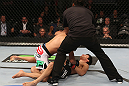 DENVER, CO - AUGUST 11:  Referee Herb Dean steps in to stop the bout as Erik Perez (L) knocks out Ken Stone during their bantamweight bout at UFC 150 inside Pepsi Center on August 11, 2012 in Denver, Colorado. (Photo by Nick Laham/Zuffa LLC/Zuffa LLC via Getty Images)