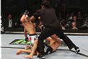 DENVER, CO - AUGUST 11:  Referee Herb Dean steps in to stop the bout as Erik Perez (L) knocks out Ken Stone during their bantamweight bout at UFC 150 inside Pepsi Center on August 11, 2012 in Denver, Colorado. (Photo by Nick Laham/Zuffa LLC/Zuffa LLC via Getty Images)