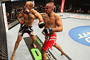 DENVER, CO - AUGUST 11:  (R-L) Michael Kuiper knocks out Jared Hamman with a punch during their middleweight bout at UFC 150 inside Pepsi Center on August 11, 2012 in Denver, Colorado. (Photo by Nick Laham/Zuffa LLC/Zuffa LLC via Getty Images)