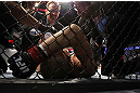 DENVER, CO - AUGUST 11:  Jared Hamman lies on the canvas after being knocked out by Michael Kuiper during their middleweight bout at UFC 150 inside Pepsi Center on August 11, 2012 in Denver, Colorado. (Photo by Josh Hedges/Zuffa LLC/Zuffa LLC via Getty Images)