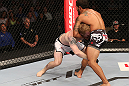 DENVER, CO - AUGUST 11:  (L-R) Dennis Bermudez secures a guillotine choke against Tom Hayden during their featherweight bout at UFC 150 inside Pepsi Center on August 11, 2012 in Denver, Colorado. (Photo by Nick Laham/Zuffa LLC/Zuffa LLC via Getty Images)