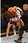 DENVER, CO - AUGUST 11:  (L-R) Dennis Bermudez submits Tom Hayden with a guillotine choke during their featherweight bout at UFC 150 inside Pepsi Center on August 11, 2012 in Denver, Colorado. (Photo by Nick Laham/Zuffa LLC/Zuffa LLC via Getty Images)
