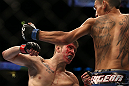 DENVER, CO - AUGUST 11:  (L-R) Justin Lawrence and Max Holloway trade punches during their featherweight bout at UFC 150 inside Pepsi Center on August 11, 2012 in Denver, Colorado. (Photo by Josh Hedges/Zuffa LLC/Zuffa LLC via Getty Images)