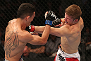 DENVER, CO - AUGUST 11:  (L-R) Justin Lawrence punches Max Holloway during their featherweight bout at UFC 150 inside Pepsi Center on August 11, 2012 in Denver, Colorado. (Photo by Nick Laham/Zuffa LLC/Zuffa LLC via Getty Images)
