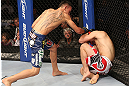 DENVER, CO - AUGUST 11:  (L-R) Max Holloway punches Justin Lawrence during their featherweight bout at UFC 150 inside Pepsi Center on August 11, 2012 in Denver, Colorado. (Photo by Nick Laham/Zuffa LLC/Zuffa LLC via Getty Images)