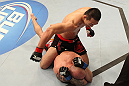 DENVER, CO - AUGUST 11:  Yushin Okami (top) punches down at Buddy Roberts during their middleweight bout at UFC 150 inside Pepsi Center on August 11, 2012 in Denver, Colorado. (Photo by Nick Laham/Zuffa LLC/Zuffa LLC via Getty Images)