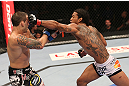 DENVER, CO - AUGUST 11:  (R-L) Benson Henderson punches Frankie Edgar during their lightweight championship bout at UFC 150 inside Pepsi Center on August 11, 2012 in Denver, Colorado. (Photo by Nick Laham/Zuffa LLC/Zuffa LLC via Getty Images)