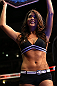 DENVER, CO - AUGUST 11:  UFC Octagon Girl Arianny Celeste introduces a round at UFC 150 inside Pepsi Center on August 11, 2012 in Denver, Colorado. (Photo by Josh Hedges/Zuffa LLC/Zuffa LLC via Getty Images)