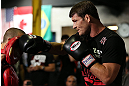 TORONTO, CANADA - SEPTEMBER 19:   Michael Bisping works out for fans and media during the UFC 152 open workouts at Xtreme Couture Gym on September 19, 2012 in Toronto, Ontario, Canada.  (Photo by Josh Hedges/Zuffa LLC/Zuffa LLC via Getty Images)