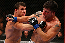 TORONTO, CANADA - SEPTEMBER 22: (L-R) Michael Bisping punches Brian Stann during their middleweight bout at UFC 152 inside Air Canada Centre on September 22, 2012 in Toronto, Ontario, Canada. (Photo by Al Bello/Zuffa LLC/Zuffa LLC via Getty Images)