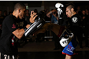 NOTTINGHAM, ENGLAND - SEPTEMBER 26:    Dan Hardy works out for the media during an open workout session at Gym Combat on September 26, 2012 in Nottingham, England.  (Photo by Josh Hedges/Zuffa LLC/Zuffa LLC via Getty Images)