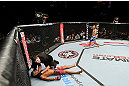 NOTTINGHAM, ENGLAND - SEPTEMBER 29:  Robbie Peralta (R) reacts after knocking out Jason Young during their featherweight fight at the UFC on Fuel TV event at Capital FM Arena on September 29, 2012 in Nottingham, England.  (Photo by Josh Hedges/Zuffa LLC/Zuffa LLC via Getty Images)
