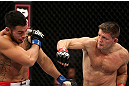 NOTTINGHAM, ENGLAND - SEPTEMBER 29:  (R-L) Tom Watson punches Brad Tavares during their middleweight fight at the UFC on Fuel TV event at Capital FM Arena on September 29, 2012 in Nottingham, England.  (Photo by Josh Hedges/Zuffa LLC/Zuffa LLC via Getty Images)