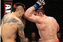 NOTTINGHAM, ENGLAND - SEPTEMBER 29:  (R-L) Amir Sadollah delivers an elbow strike against Dan Hardy during their welterweight fight at the UFC on Fuel TV event at Capital FM Arena on September 29, 2012 in Nottingham, England.  (Photo by Josh Hedges/Zuffa LLC/Zuffa LLC via Getty Images)