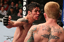 MINNEAPOLIS, MN - OCTOBER 05:  (L-R) Diego Nunes punches Bart Palaszewski during their featherweight fight at the UFC on FX event at Target Center on October 5, 2012 in Minneapolis, Minnesota.  (Photo by Josh Hedges/Zuffa LLC/Zuffa LLC via Getty Images)